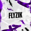 tt.flyzik