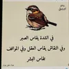 user2530880139407