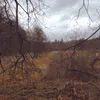 melodienstimmgv