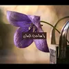 user856165861125