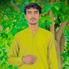 zararkhan6067