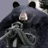 capyguy348