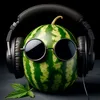 volod_soz