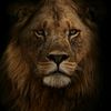 joshua.josh134