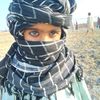 wahid.bushk