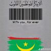 user8720607395088