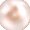 zahraa_5500