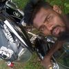 api.risha