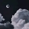 o768677
