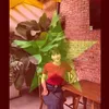 Ngọc.ANH