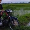 radit.dwi.andrian