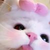 slis_t