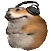 nick_buckih_gt