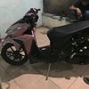 elbimm30