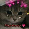 user5520610939465