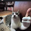 floppagang25