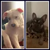 boyziebetsy