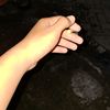 dwisantoso352
