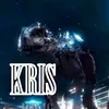 krystianbytom13