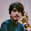 zameerbhai846