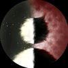 poiuytrewq5219