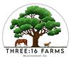 three16farms