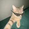 noa_11342
