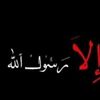 user4529800998800