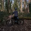 dexridesmtb