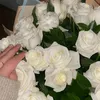rayna_mwhamed3