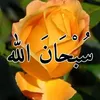 user2623288612475