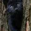 moustapha.baji