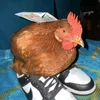 flpontez