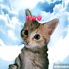 edits_de_julietha