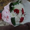 user313215255833