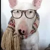 xyc.zkw