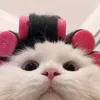 criminalconsul