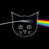 cats.floyd