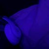 .unknownuser.12