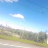 gatoss_566