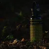 nualex99