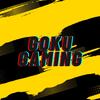 goku_gaming13