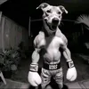 chilamotcaico2