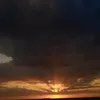 m_dge4