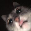 username54966