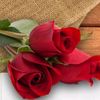 esther.jj16
