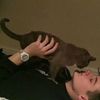 terrell_13