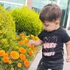 faer327301582