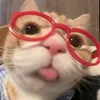 prttyrevian