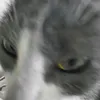 xxxzx